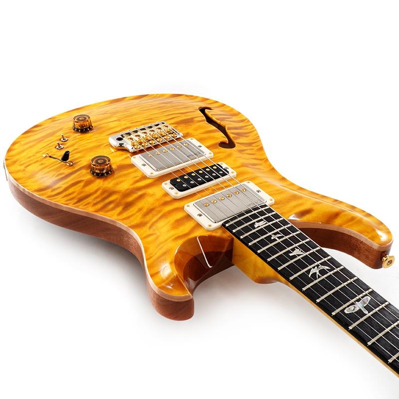 P.R.S. Ikebe 50th Anniversary Wood Library Special Semi-Hollow (Honey Gold) SN.0401654 画像8