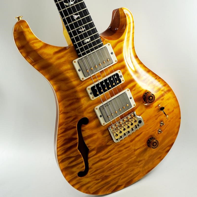 P.R.S. Ikebe 50th Anniversary Wood Library Special Semi-Hollow (Honey Gold) SN.0401654 画像10