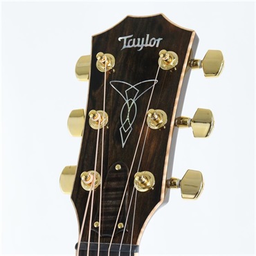TAYLOR CTM GAce Hand Select All Quilt Maple CustomColor 【イケベ楽器店創業50周年記念限定モデル】 テイラー 画像4