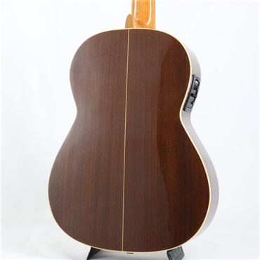 Antonio Sanchez USED 中古 EG-1 CEDAR※2018年製アントニオサンチェス 画像2