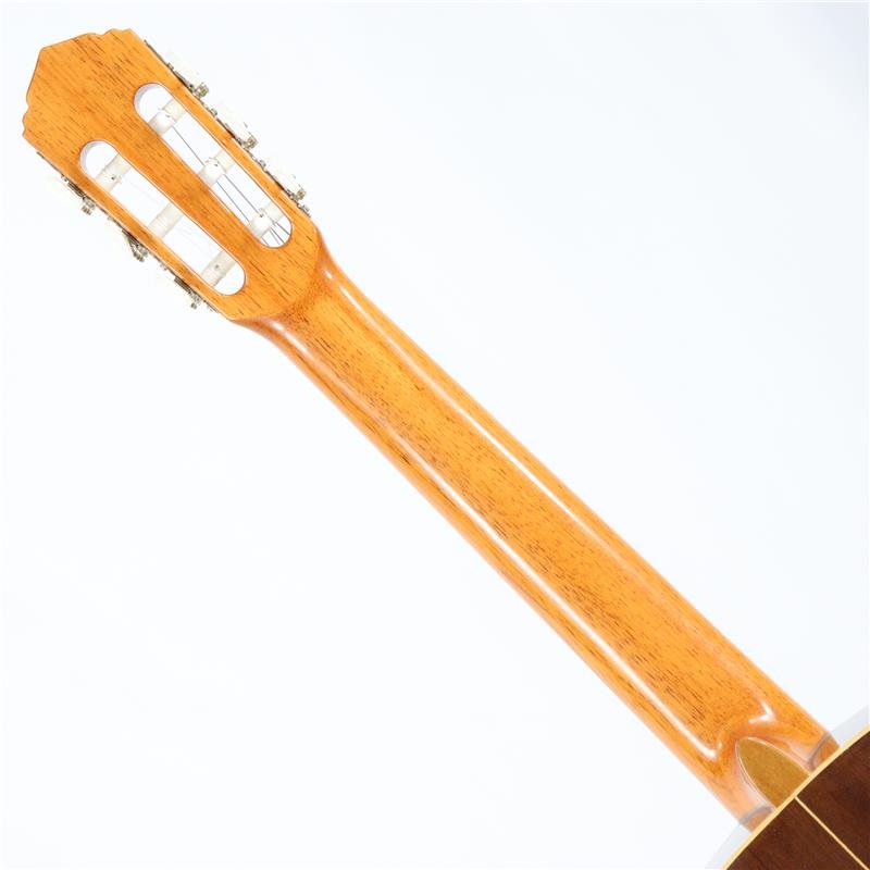 Antonio Sanchez USED 中古 EG-1 CEDAR※2018年製アントニオサンチェス 画像7