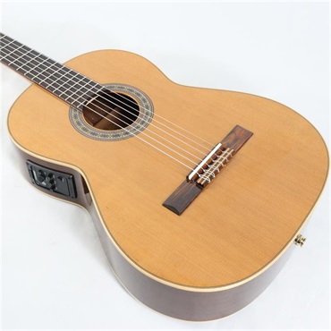 Antonio Sanchez USED 中古 EG-1 CEDAR※2018年製アントニオサンチェス 画像9