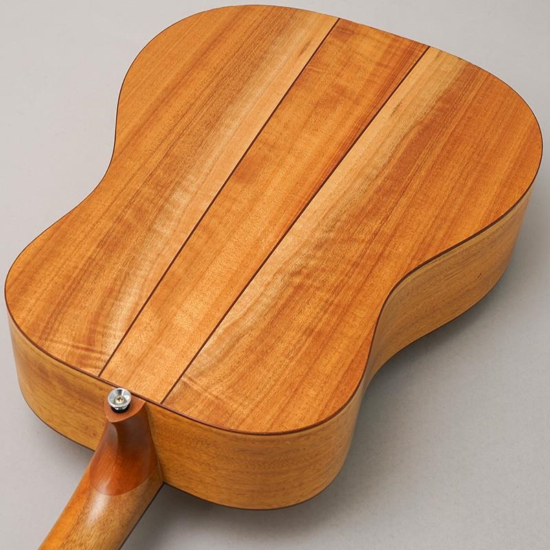 Cole Clark USED 中古 FL-2A コールクラーク 画像5
