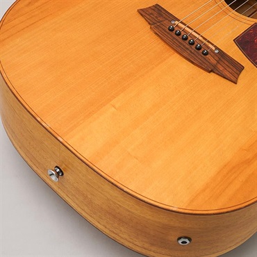 Cole Clark USED 中古 FL-2A コールクラーク 画像6
