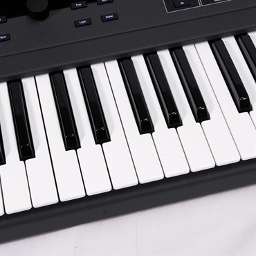 Waldorf USED 中古 Quantum ※配送事項要ご確認 画像2
