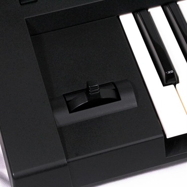 Roland USED 中古 SH-201 ソフトケース付属 画像2