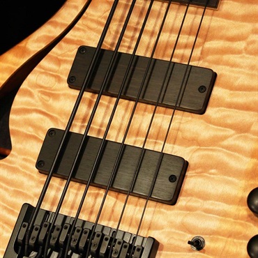 Adamovic USED 中古 Jupiter Hollow 6st Fretless (Quilted Maple Top) 画像2