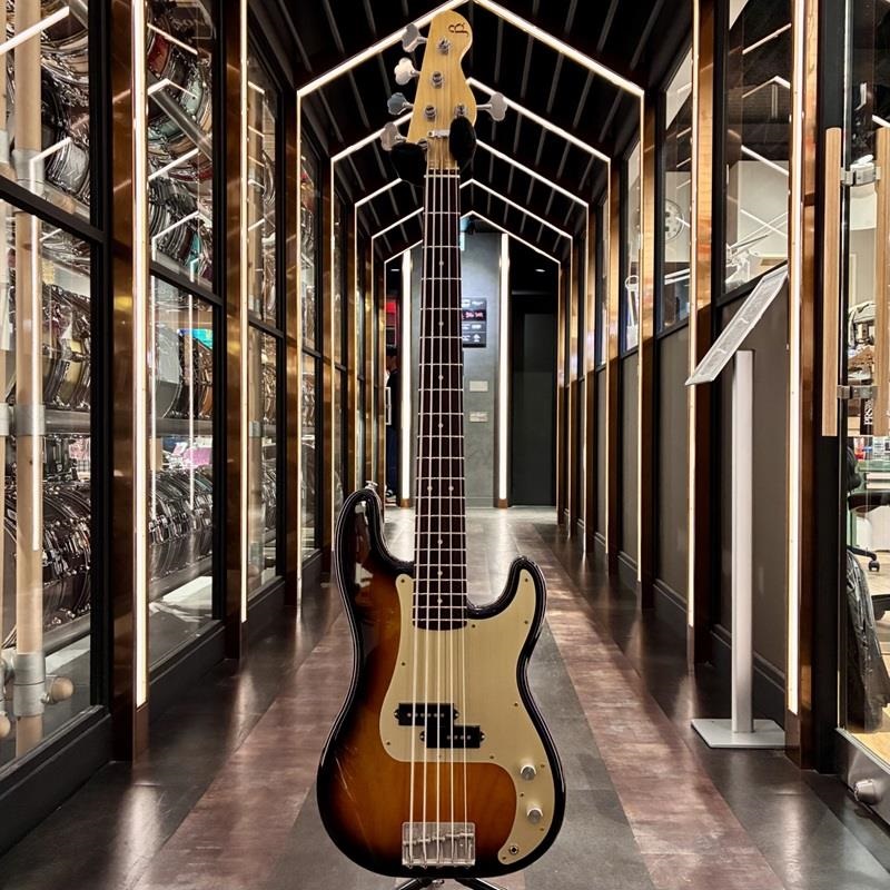 BLACK SMOKER Trad Master Series Beta P5 (2Tone Sunburst/Light Aged) 画像1