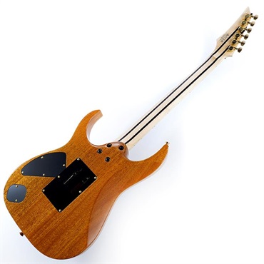 Ibanez Ikebe 50th Anniversary j.custom IKRG85701 (Quilted Maple Top / See Through Blue) SN.F2504576 画像2