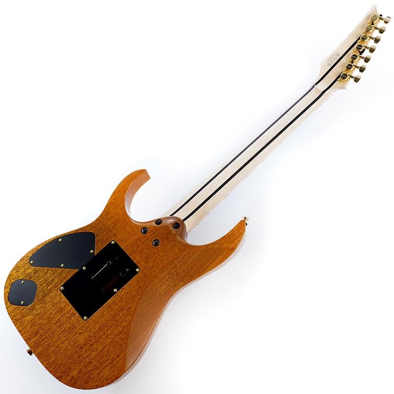 Ibanez Ikebe 50th Anniversary j.custom IKRG85271 (Burl Maple Top) SN.2506462 画像2
