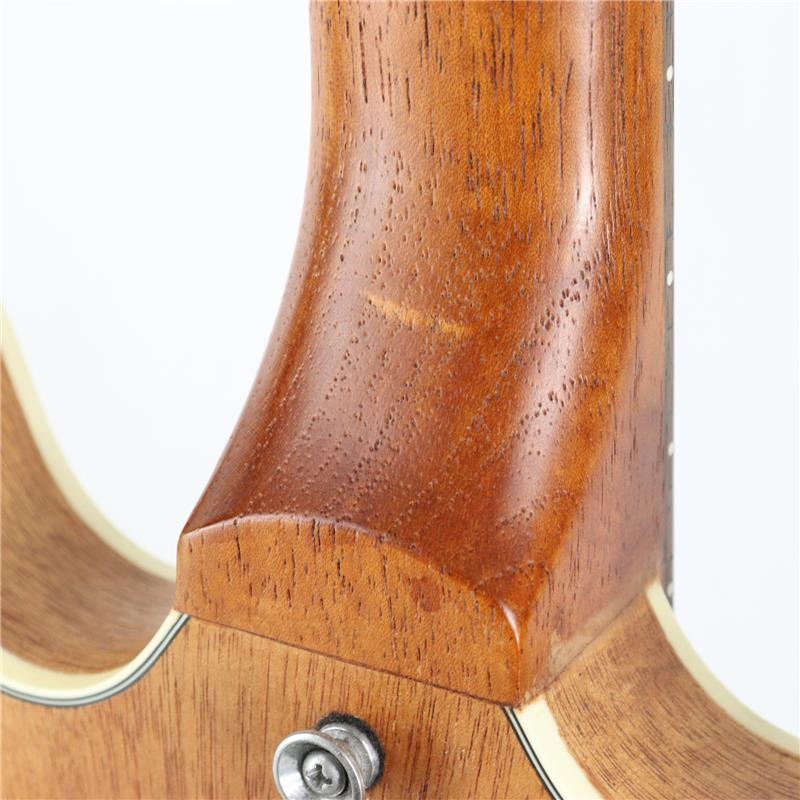 Aria ProII USED 中古 TA-TR1 (STBR) [SN.410171125579] 画像6