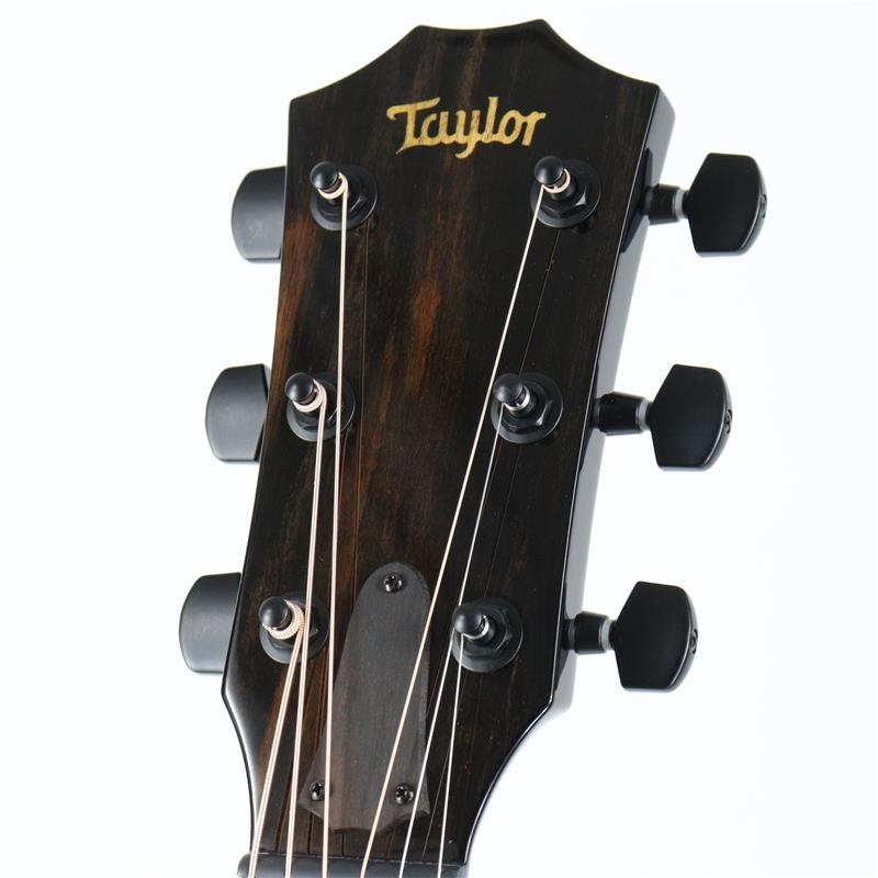 TAYLOR Custom Catch GAce-HotRod #34 - C14ce テイラー 画像4