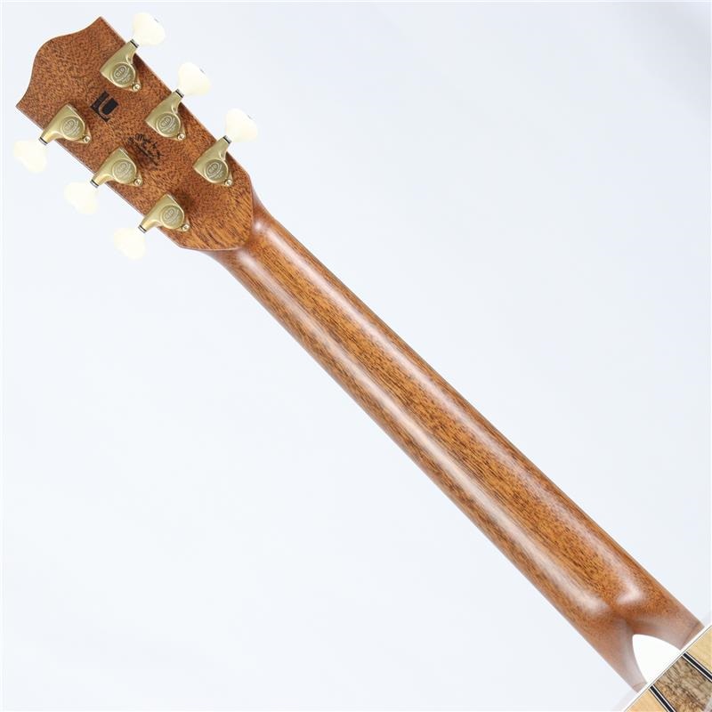 Headway HF-HYUGAZAKURA’25/ATB 【ディバイザー大商談会2025選定品】 ヘッドウェイ 画像7