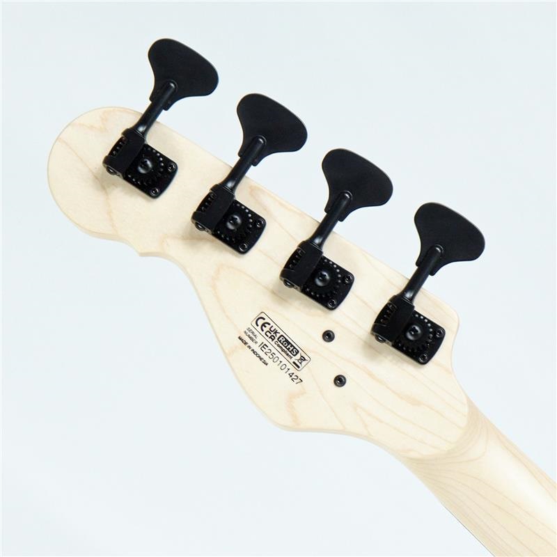 DINGWALL SP1 4st (Gloss Metallic Black w/Matte Coco Gold PG) 画像7