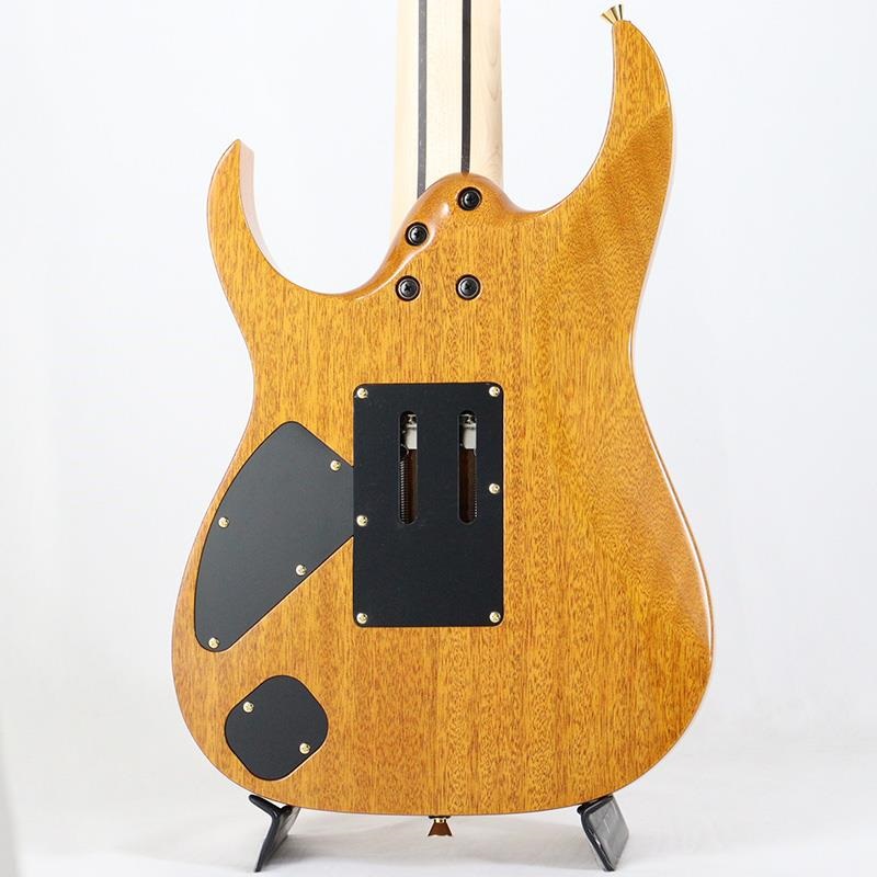 Ibanez Ikebe 50th Anniversary j.custom IKRG85271 (Burl Maple Top) [SN.F2506456] 画像3
