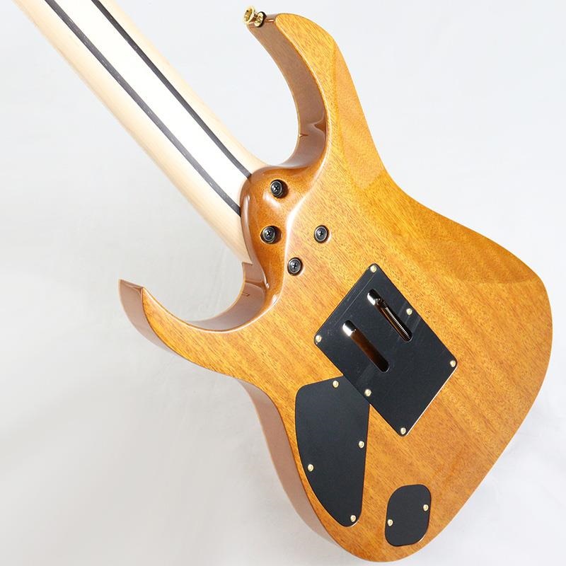 Ibanez Ikebe 50th Anniversary j.custom IKRG85271 (Burl Maple Top) [SN.F2506456] 画像5