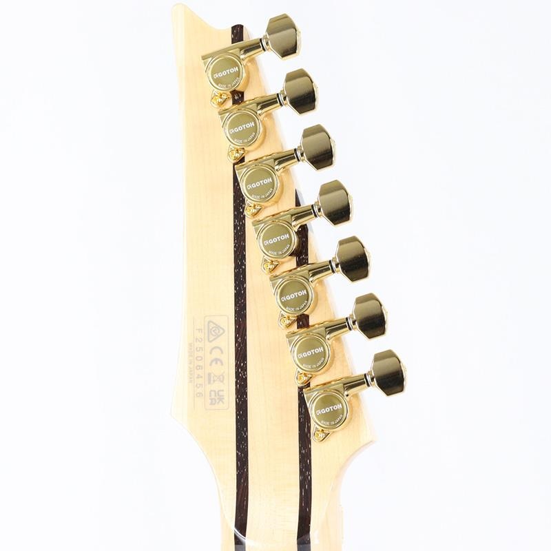 Ibanez Ikebe 50th Anniversary j.custom IKRG85271 (Burl Maple Top) [SN.F2506456] 画像10