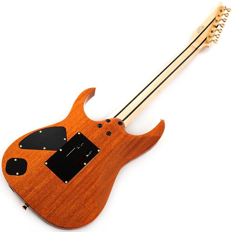 Ibanez Ikebe 50th Anniversary j.custom IKRG85271 (Burl Maple Top) SN.F2506458 画像2