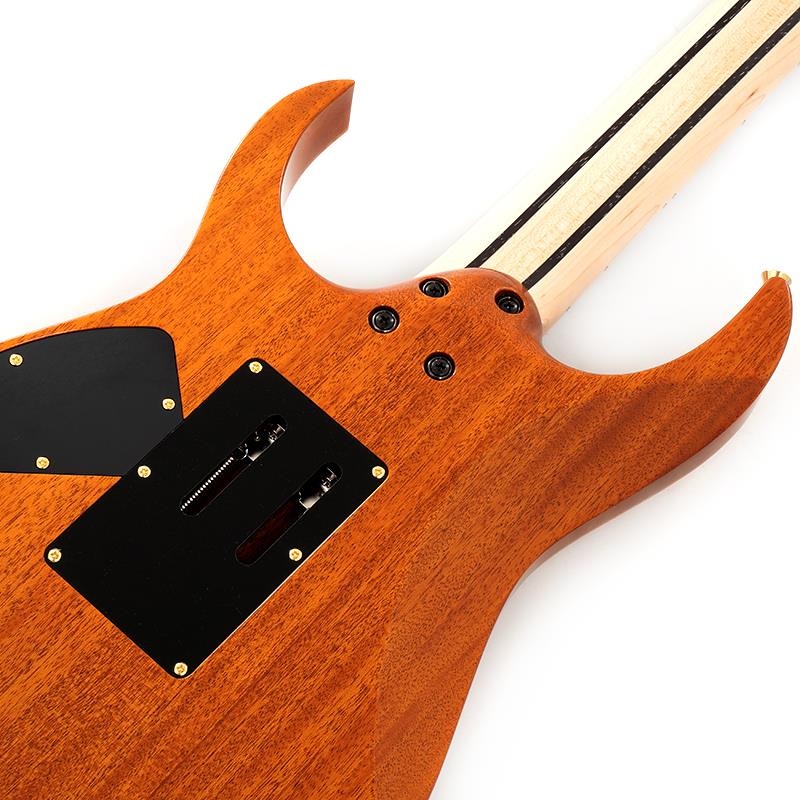 Ibanez Ikebe 50th Anniversary j.custom IKRG85271 (Burl Maple Top) SN.F2506458 画像5