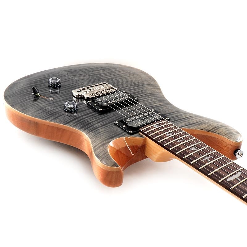 P.R.S. SE Custom 24 (Charcoal) 画像8