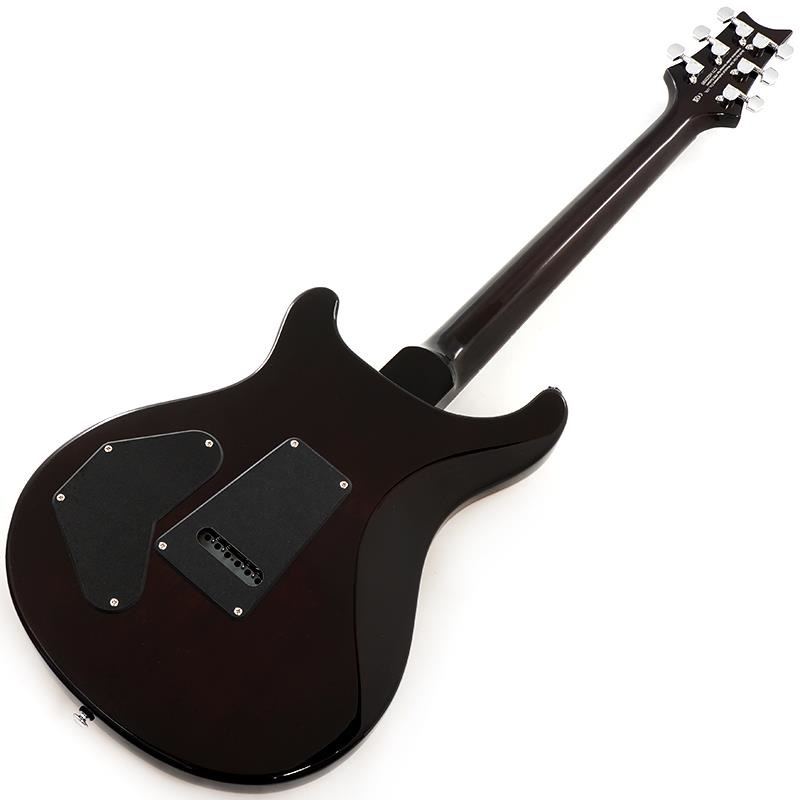 P.R.S. SE DGT (Gold Top / Moon Inlays) 画像2