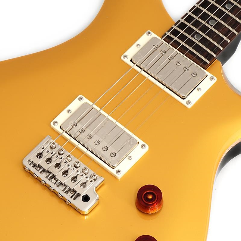 P.R.S. SE DGT (Gold Top / Moon Inlays) 画像3