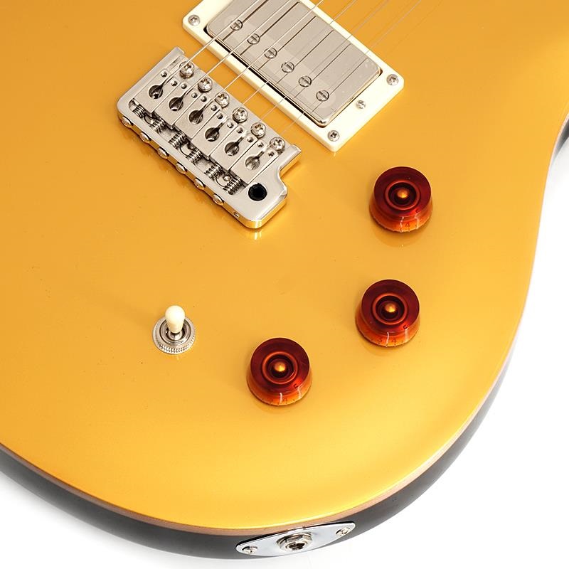 P.R.S. SE DGT (Gold Top / Moon Inlays) 画像4