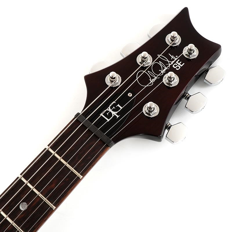 P.R.S. SE DGT (Gold Top / Moon Inlays) 画像6