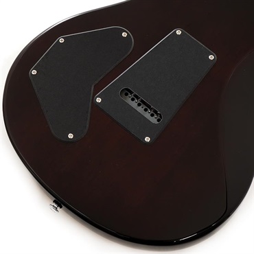 P.R.S. SE DGT (Gold Top / Moon Inlays) 画像7
