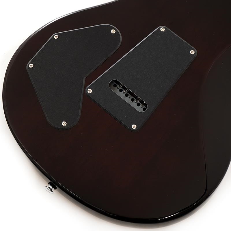 P.R.S. SE DGT (Gold Top / Moon Inlays) 画像7