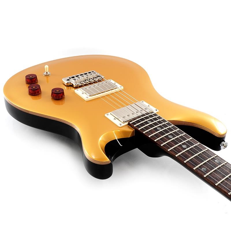 P.R.S. SE DGT (Gold Top / Moon Inlays) 画像8
