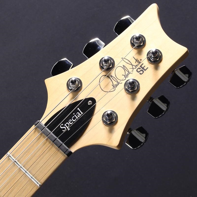 P.R.S. USED 中古 SE Swamp Ash Special (Charcoal) #CTI F093307 画像4