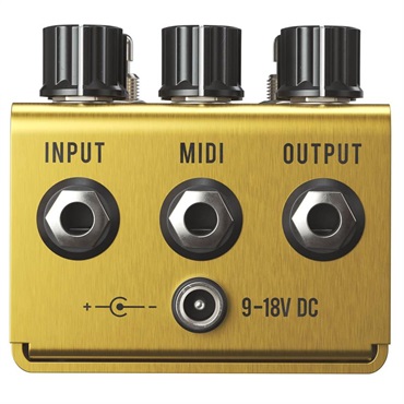 Jackson Audio GOLDEN BOY 画像2