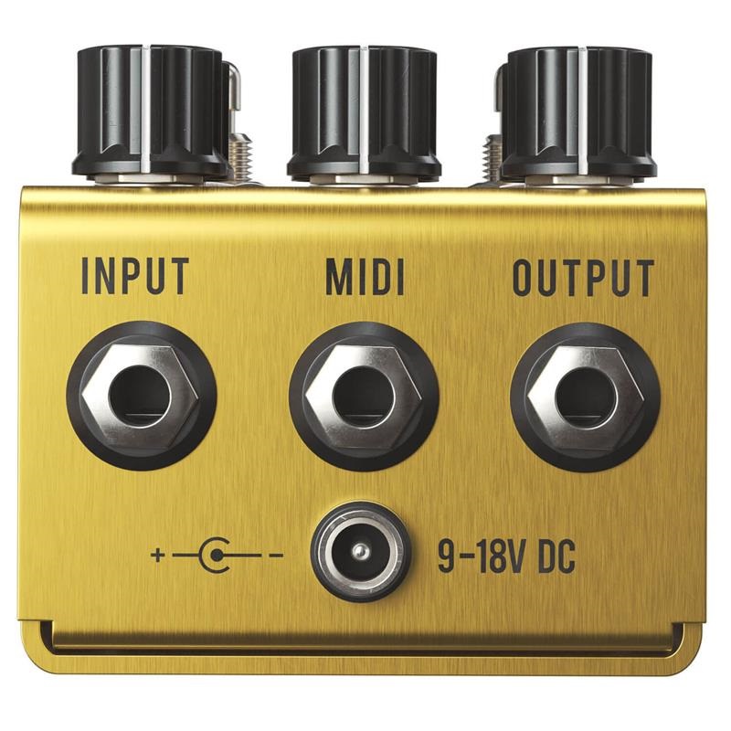 Jackson Audio GOLDEN BOY 画像2
