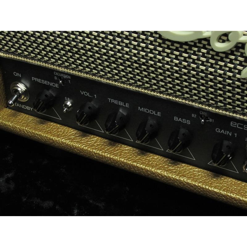 Bogner 【New Version】Ecstasy 3534 / 50W [Gold Tolex/Salt & Pepper/Gold Piping]（ボグナー） 画像1