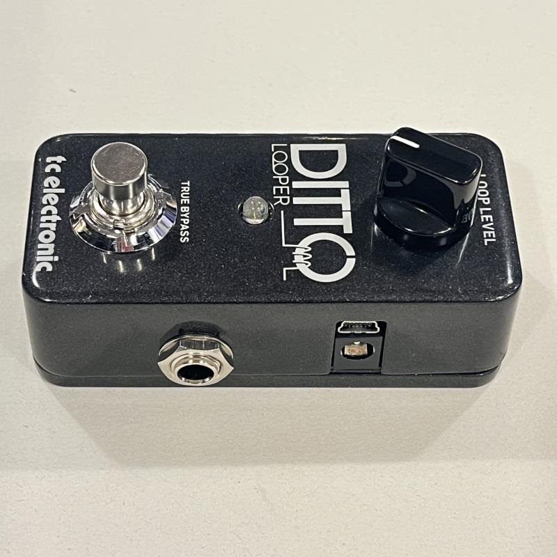 tc electronic USED 中古 DITTO LOOPER ルーパー 画像1