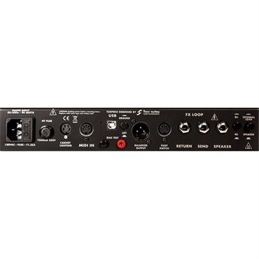REVV G20 [Lunchbox Amplifiers]（レヴ）[4W TUBE BLK] 画像2