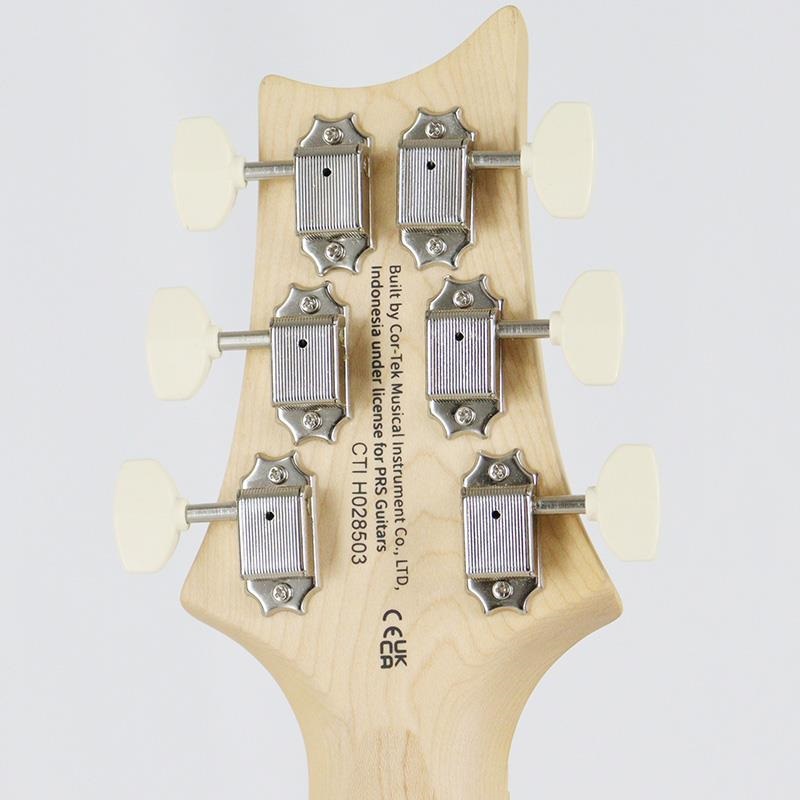 P.R.S. SE NF 53 (White Doghair) 画像8