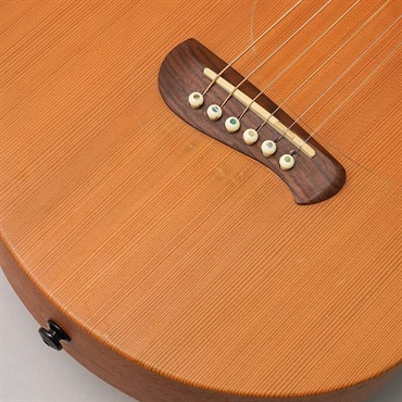 TACOMA USED 中古 P-1 Papoose タコマ 画像9