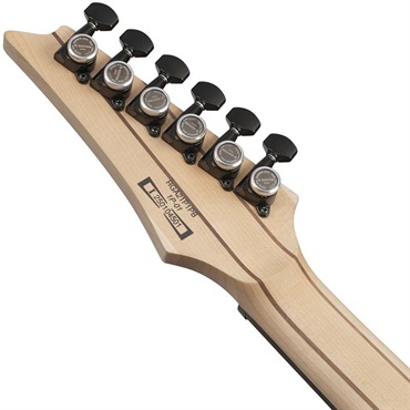 Ibanez Premium RGA21P1PB-DRL (Deep Twilight Burst Low Gloss) [SPOT MODEL] 画像5