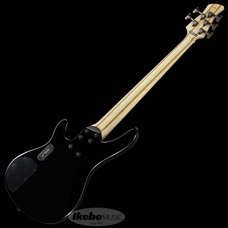 YAMAHA TRB1005J (BL) 【特価】 【創業50周年大決算SALE】 画像2