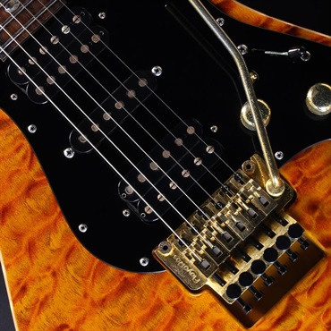 Freedom Custom Guitar Research USED 中古 Hydra FRT ''鳳凰'' 画像3