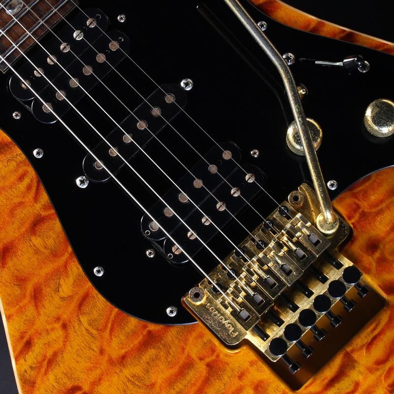 Freedom Custom Guitar Research USED 中古 Hydra FRT ''鳳凰'' 画像3