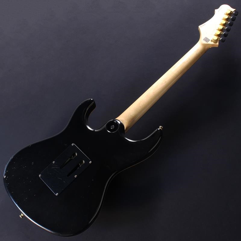 Freedom Custom Guitar Research USED 中古 Hydra FRT ''鳳凰'' 画像5