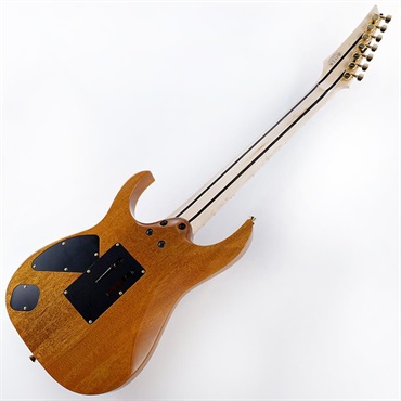 Ibanez Ikebe 50th Anniversary j.custom IKRG85271 (Burl Maple Top) SN.2506455 画像2