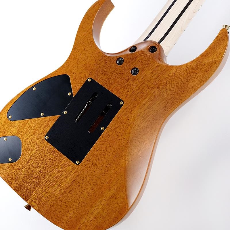 Ibanez Ikebe 50th Anniversary j.custom IKRG85271 (Burl Maple Top) SN.2506455 画像7
