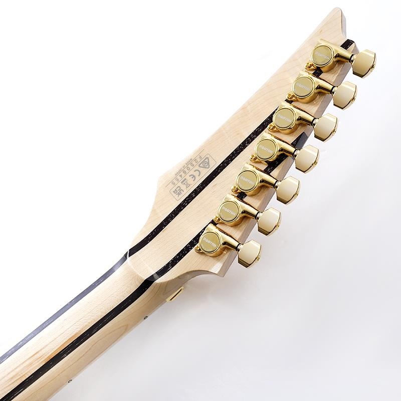 Ibanez Ikebe 50th Anniversary j.custom IKRG85271 (Burl Maple Top) SN.2506455 画像9