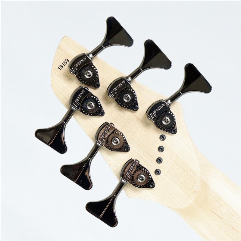 DINGWALL NG-3 6st Adam Nolly Getgood Signature Model
