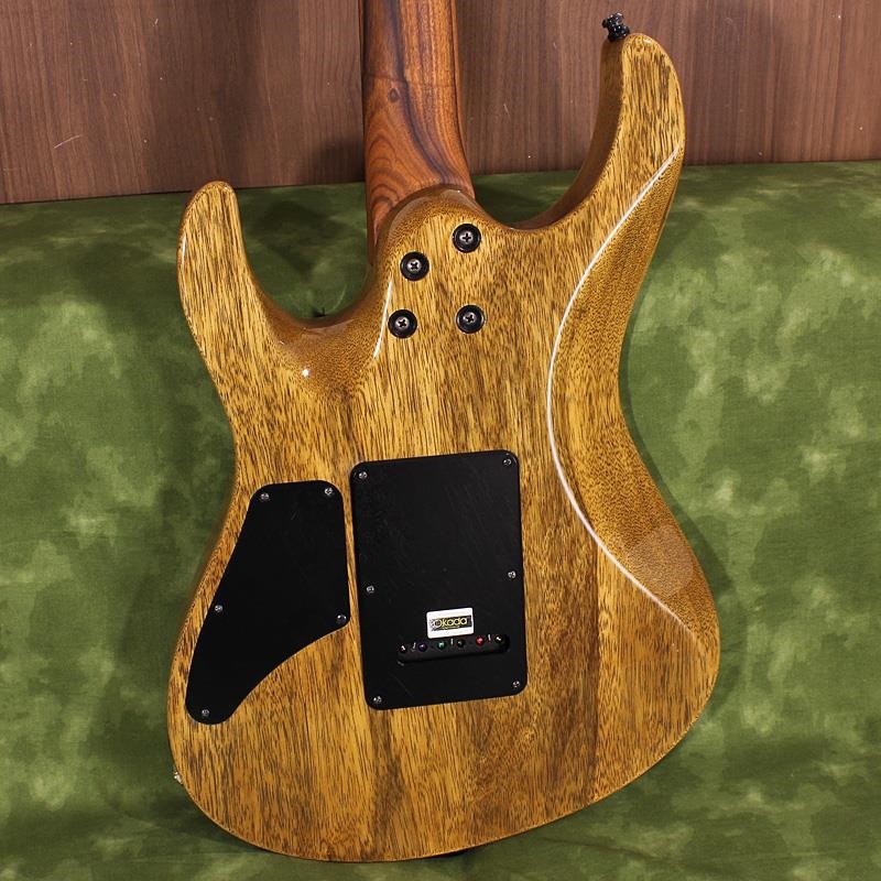 ギター HARA Front.jpg?format=1500w