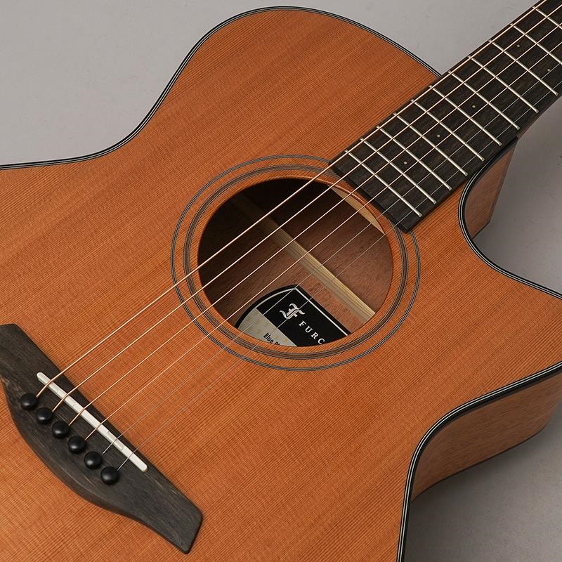 Furch Blue Plus Gc-CMa フォルヒ ｜イケベ楽器店オンラインストア